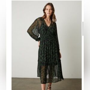 Velvet by Graham & Spencer Sheer Black and Green Dress